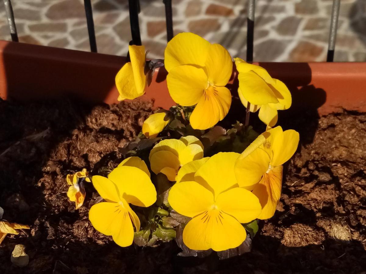 Ca' Del Laki Alloggio per agriturismo *